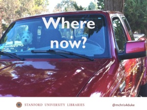 Dog in truck asks Where now?